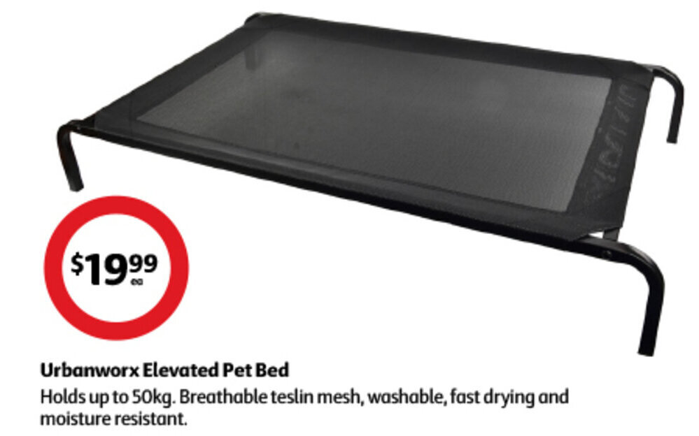 Urbanworx Elevated Pet Bed offer at Coles