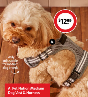 Coles A. Pet Nation Medium Dog Vest & Harness offer