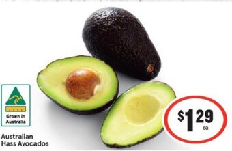 IGA Australian Hass Avocados offer