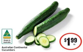 IGA Australian Continental Cucumbers offer