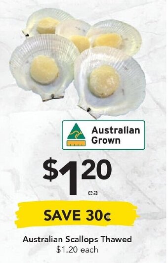 Australian Scallops Thawed