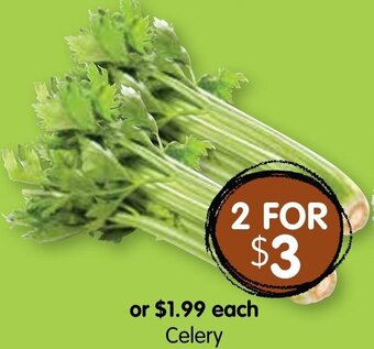 Spudshed Celery offer