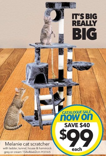 Melanie cat scratcher