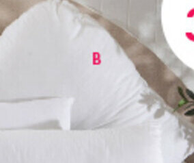 Pillow Talk B. Comfort V Pillow offer
