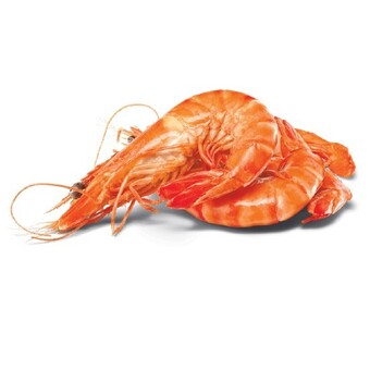 Woolworths Thawed extra large australian cooked tiger prawns offer