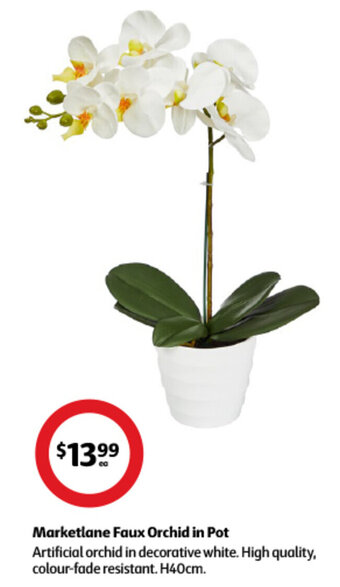 Coles Marketlane Faux Orchid in Pot offer