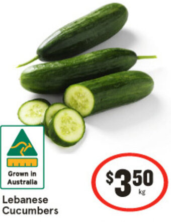 IGA Lebanese Cucumbers offer