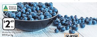 Foodworks Blueberries 125g punnet offer