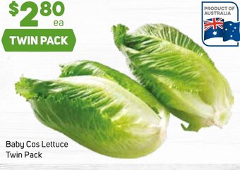 Foodland Baby Cos Lettuce Twin Pack offer