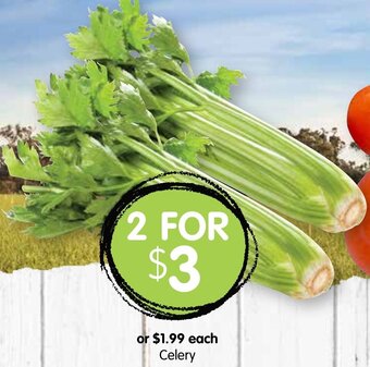 Spudshed Celery offer
