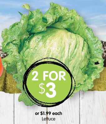 Spudshed Lettuce offer