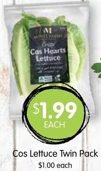 Spudshed Cos Lettuce Twin Pack offer