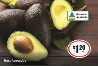 IGA Hass Avocados offer