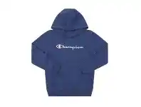 David Jones Champion Script Hoodie (Boys 8-16) offer