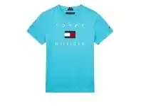 David Jones Tommy Hilfiger Logo Short Sleeve T-Shirt (Boys 3-7) offer