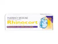 Rhinocort Hayfever & Allergy Nasal Spray 32mcg 120 Dose