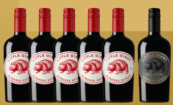 Dan Murphy's LITTLE GIANT BAROSSA SHIRAZ offer