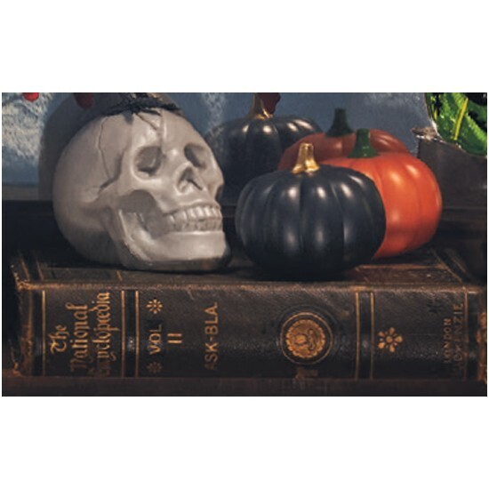 Halloween small tabletop decorations assorted offer at Woolworths