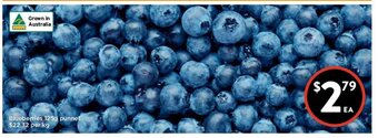 Foodworks Blueberries 125g Punnet offer