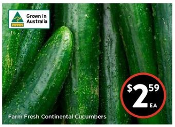 Foodworks Farm Fresh Continental Cucumbers offer