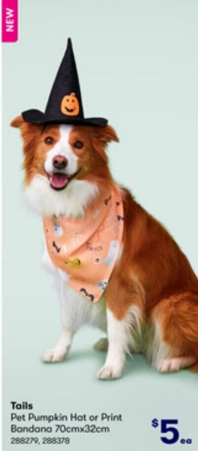 BIG W Tails Pet Pumpkin Hat or Print Bandana offer