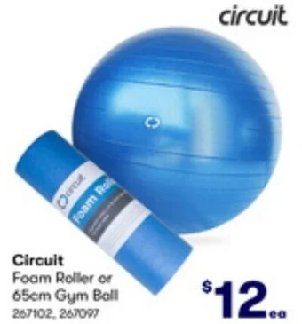 BIG W Circuit Foam Roller or 65cm Gym Ball offer