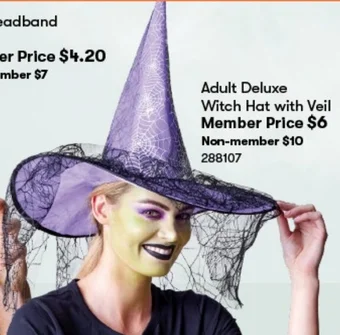 BIG W Adult Deluxe Witch Hat with Veil offer