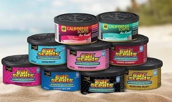 California scents 42g air freshener cannisters