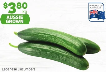 Foodland Lebanese Cucumbers offer