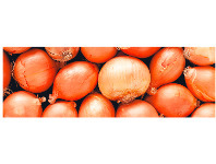 Foodworks Pre-Packed Brown Onions 1kg offer