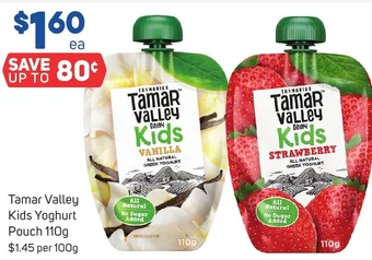 Foodland Tamar Valley Kids Yoghurt Pouch 110g offer