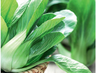 ALDI Aussie Pak Choy offer