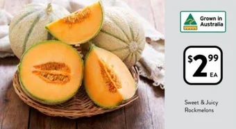 Foodworks Sweet & Juicy Rockmelons offer
