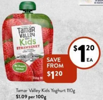 Foodworks Tamar Valley Kids Yoghurt 110g offer
