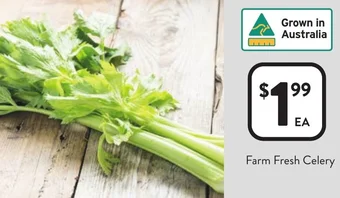 Foodworks Farm Fresh Celery offer