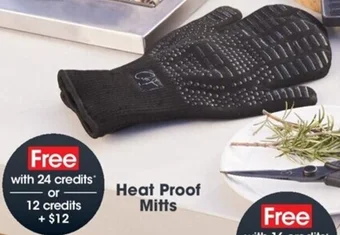 Coles Heat Proof Mitts offer
