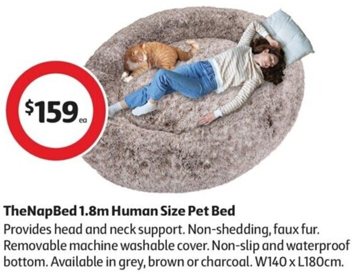 TheNapBed 1.8m Human Size Pet Bed offer at Coles