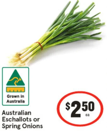 Australian Eschallots or Spring Onions