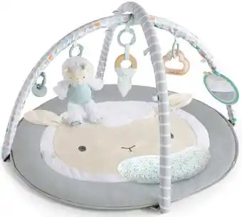 Ingenuity sheppys spot plush activity gym corrie