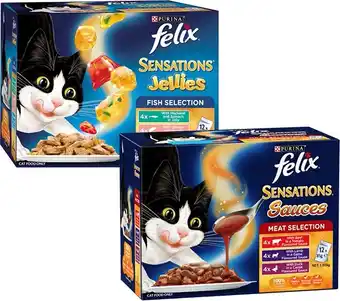 BIG W Felix sensations wet cat food varieties 12 x 85g offer
