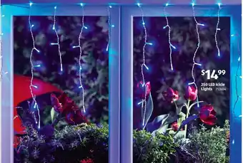 ALDI 250 LED Icicle Lights offer