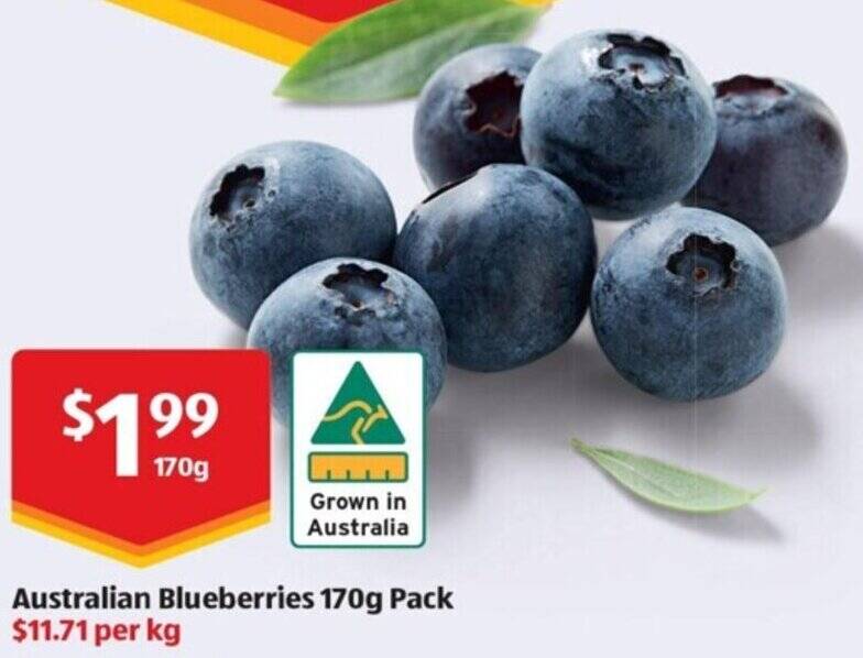Australian Blueberries 170g Pack offer at ALDI