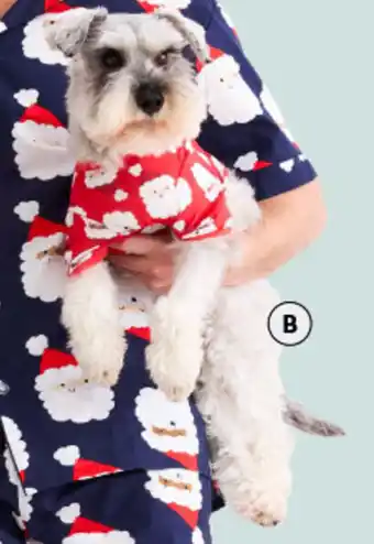BIG W Perfect Pet Pet Tee Santa Outfit 30cm offer