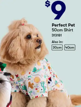 BIG W Perfect Pet 50cm Shirt offer