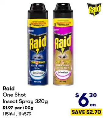 Raid One Shot Insect Spray 320g
