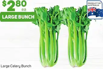 Foodland Large Celery Bunch offer