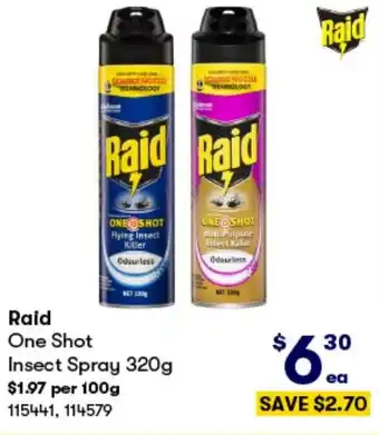 BIG W Raid One Shot Insect Spray 320g offer