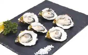 Woolworths Fresh Pacific Australian Oysters offer