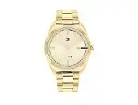 Bevilles Jewellery Tommy Hilfiger 2-Hand & Date IP Gold Steel Men's Watch offer