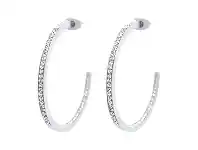Stainless Steel Crystal Hoop Earrings